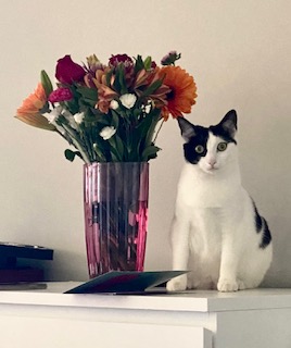 This is my cat, Squeaky.